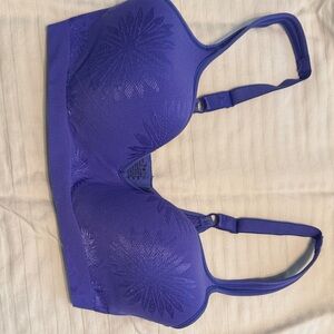 Bali Vibrant Purple Bra